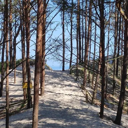 Apartamento Mieszkanie Mrzezyno/rogowo